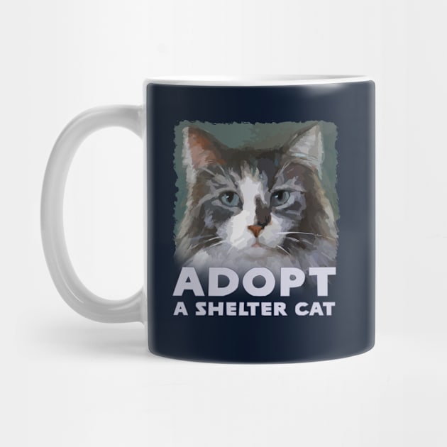 Adopt a Shelter Cat - with Cute Maine Coon Kitty - Rescue Pet by jdunster